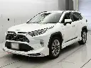 rav42.webp
