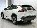 rav45.webp