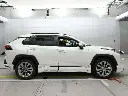 rav43.webp